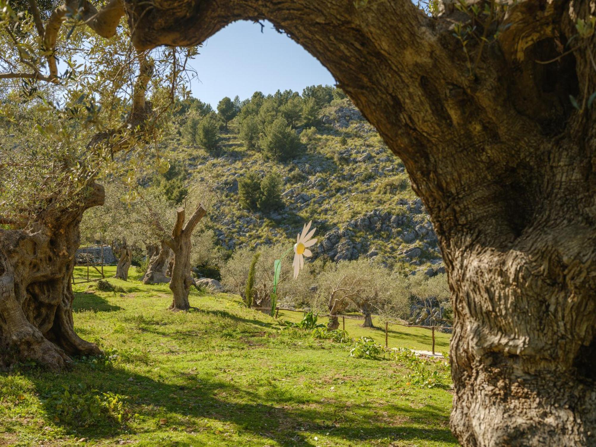 Agroturismo Muleta De Ca S'Hereu Puerto de Sóller Exterior foto
